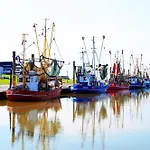 Dom wakacyjny Sv2 Robbenplate 18 Robbe Dorumer Neufeld